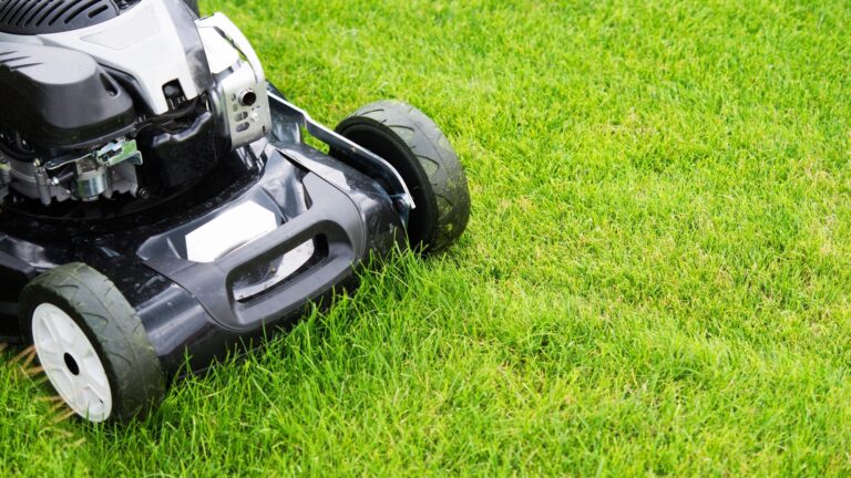 how to mow your lawn