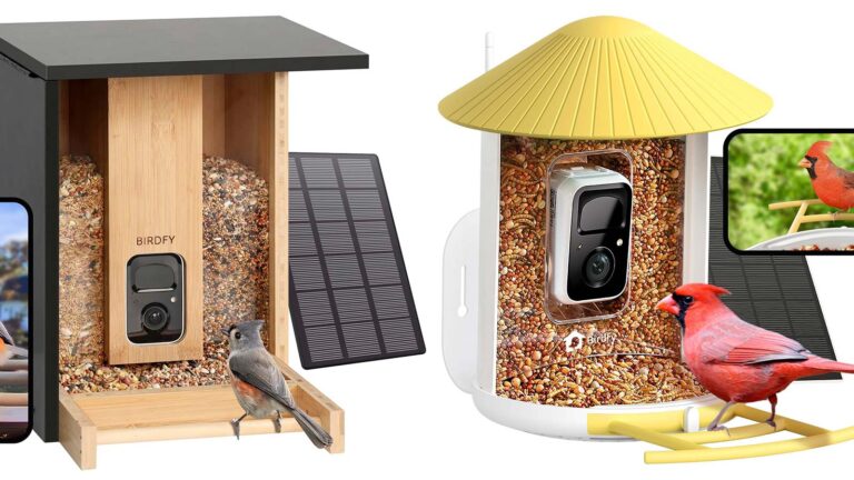 birdfy bird feeders on sale for prime day