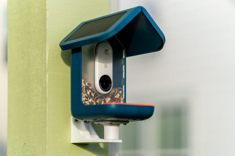 blue birdbuddy bird feeder camera on house