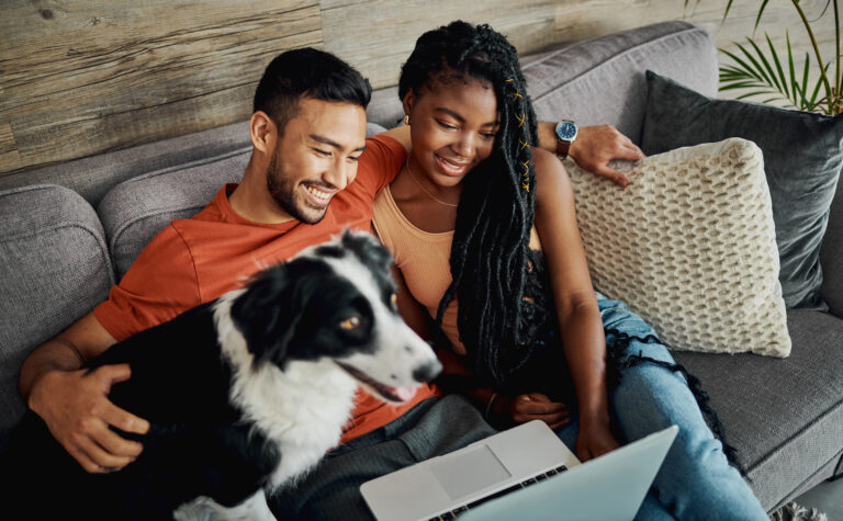 dog with owners looking at laptop