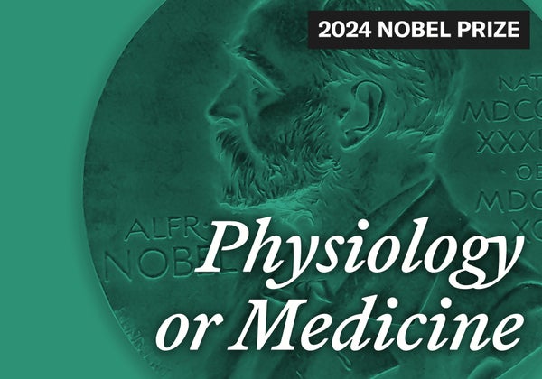 nobels 2024 physiology or medicine