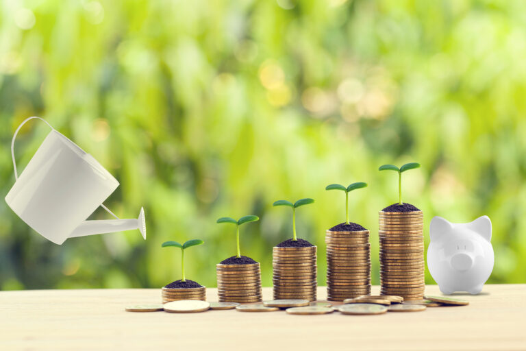 water being poured on green sprout on rows of increasing coins on wood table in the natural green background