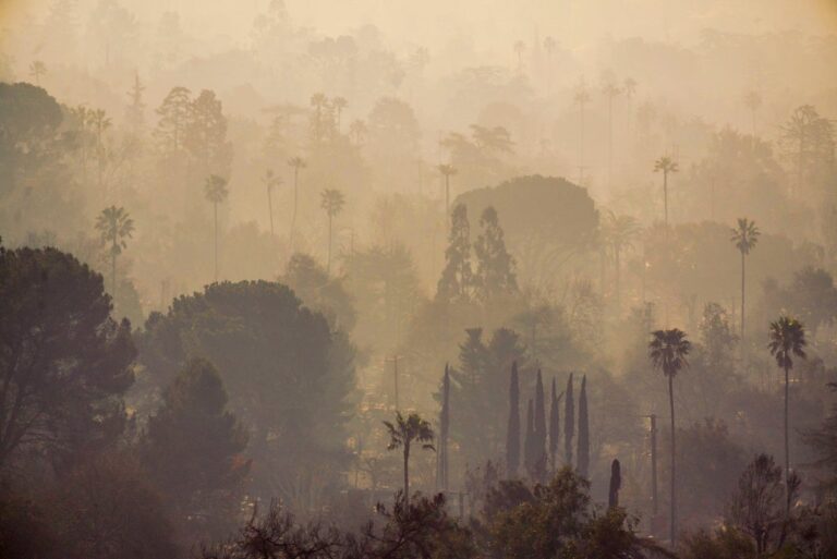 Smoke over destroyed homes