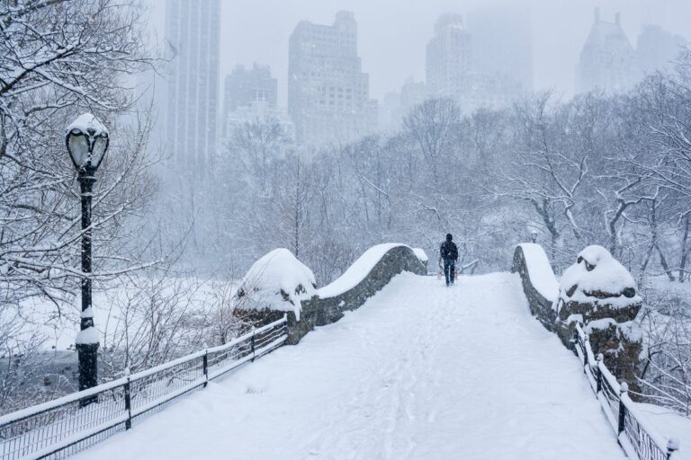 central park gapstow bridge during snowstorm