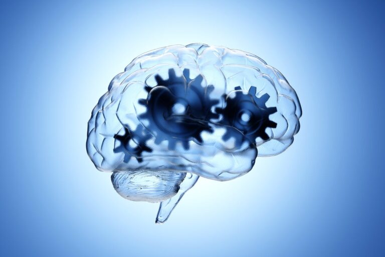 gears in transparent brain