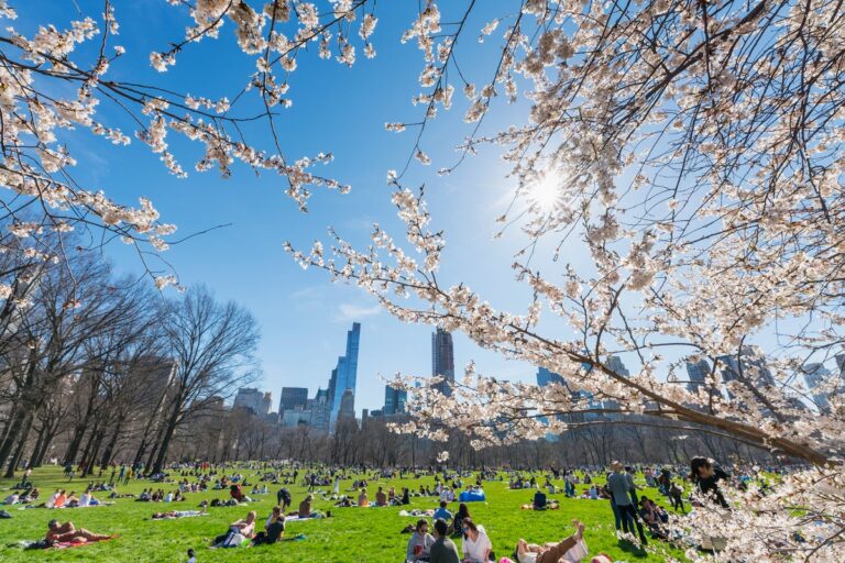 sunbathing during early spring day in central park