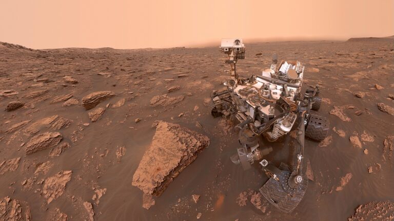 Curiosity Selfie