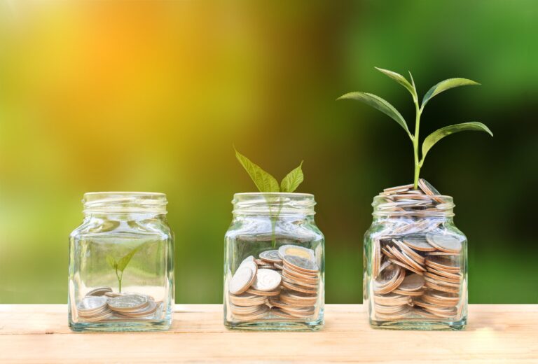 money growing plant QCYtWJO