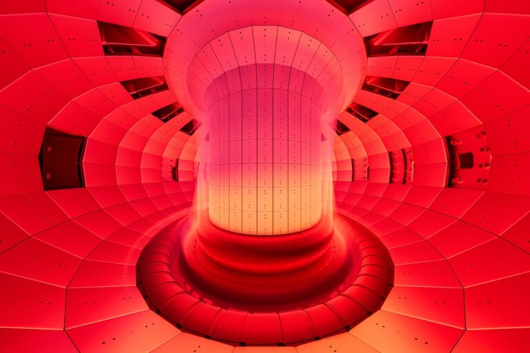 nuclear fusion reactor
